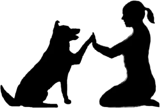 Addestramento cani