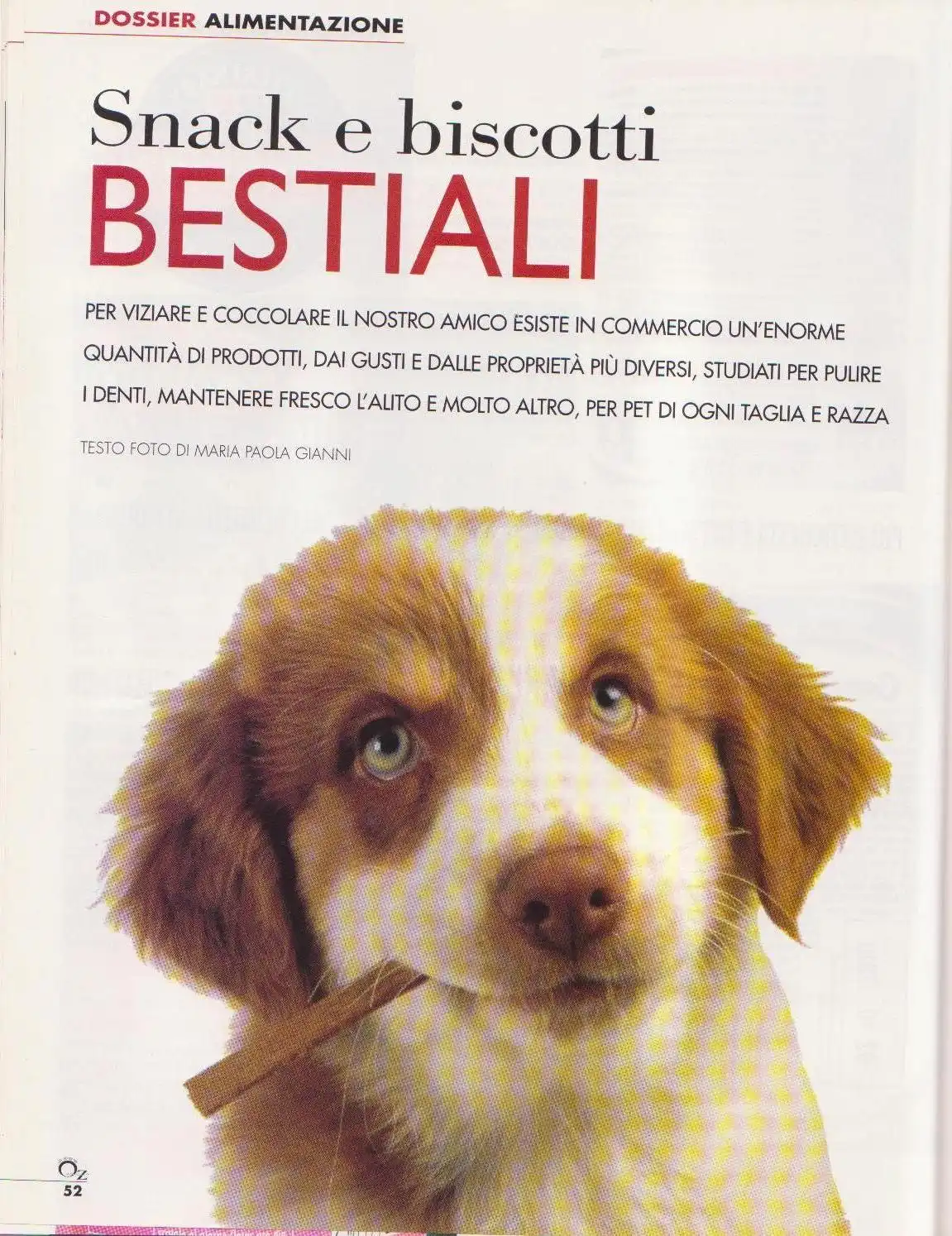 Rivista 6 - Bologna Dogs