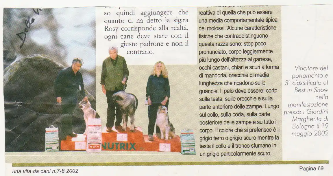 Rivista 10 - Bologna Dogs