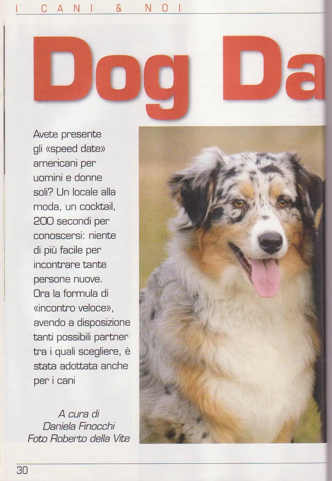 Rivista 14 - Bologna Dogs