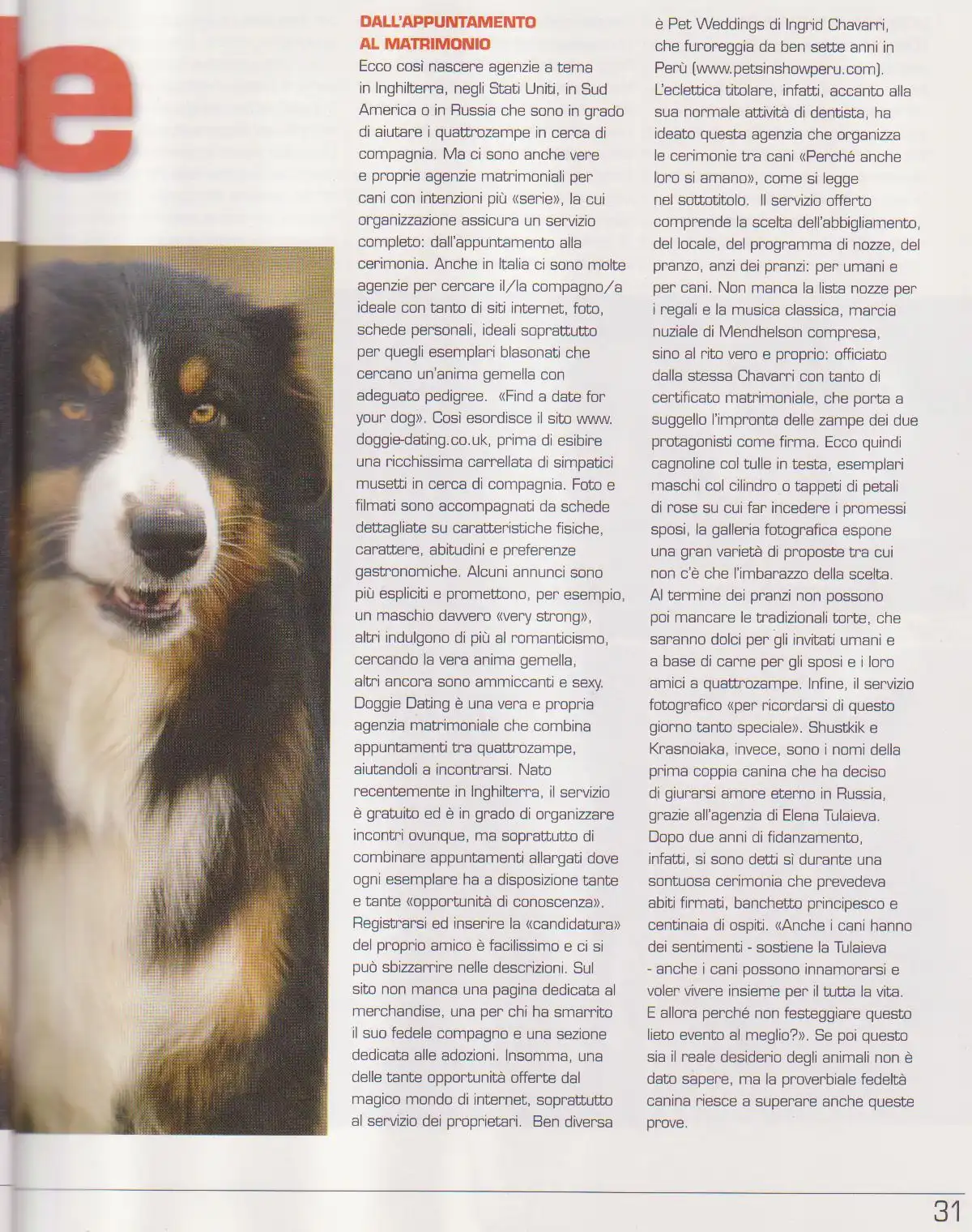 Rivista 16 - Bologna Dogs