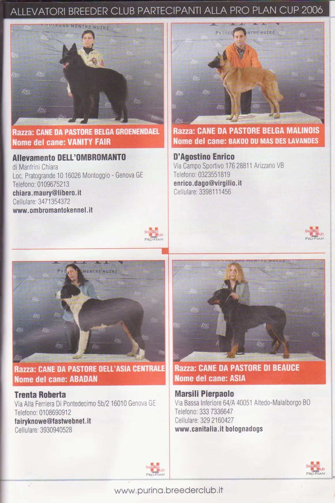 Rivista 18 - Bologna Dogs