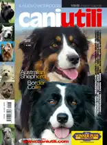 Rivista 26 - Bologna Dogs